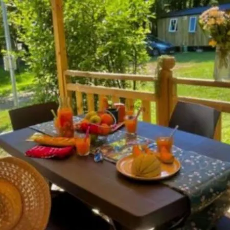Mobile-home Avec Terrasse - 5 Pers. - Api-1-52-2216